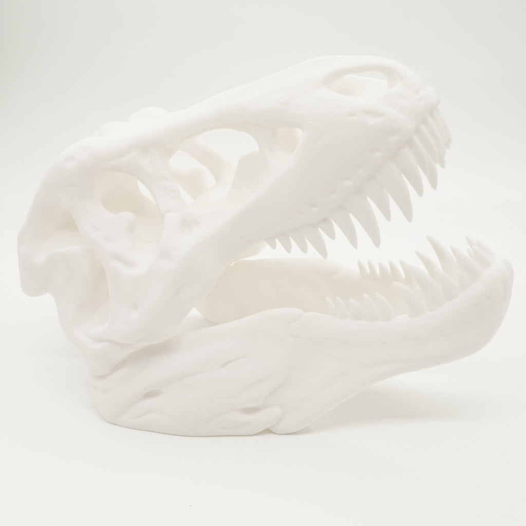 3D-printet T-Rex Kranium – Imponerende Dinosaur Dekoration