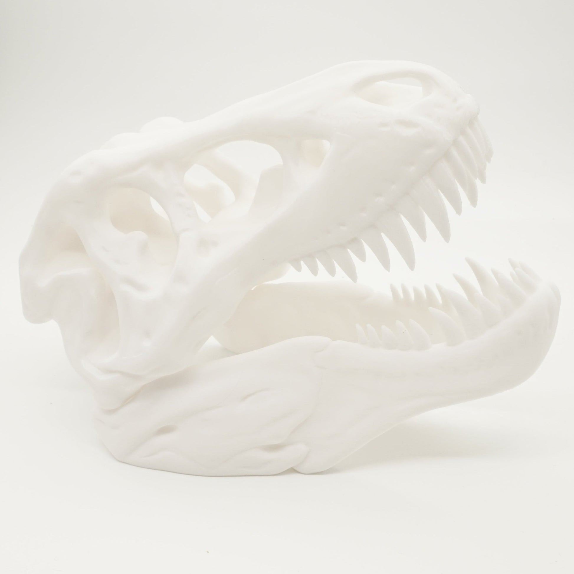 3D-printet T-Rex Kranium – Imponerende Dinosaur Dekoration