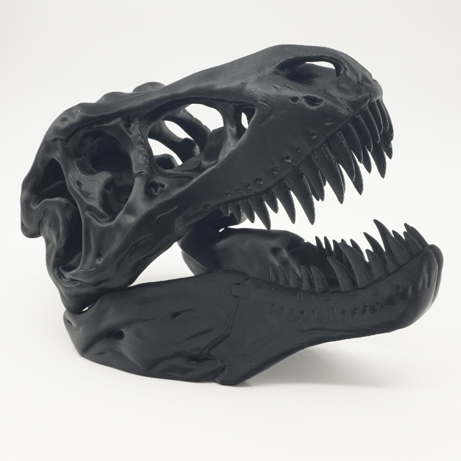 3D-printet T-Rex Kranium – Imponerende Dinosaur Dekoration