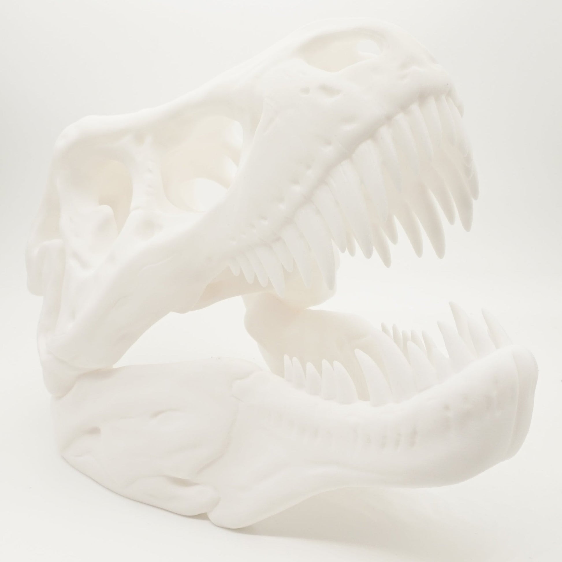 3D-printet T-Rex Kranium – Imponerende Dinosaur Dekoration