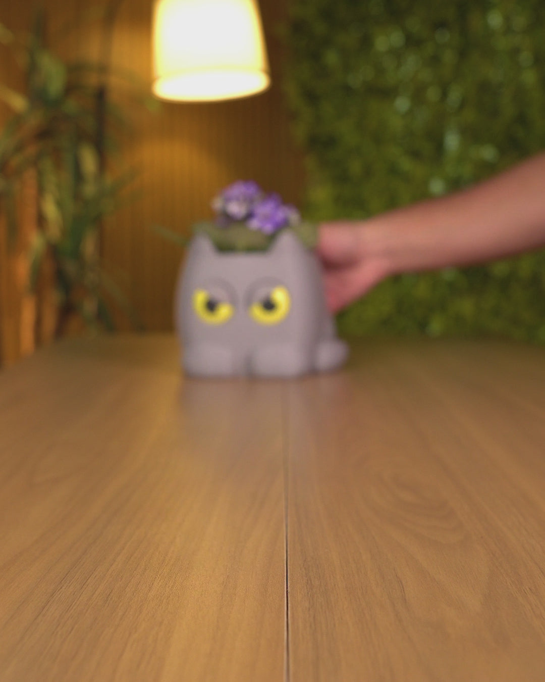 Grumpy Kitty Selv-vandende Blomsterpotte